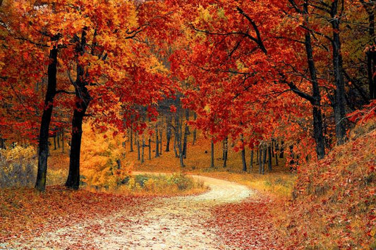 The First Day of Fall