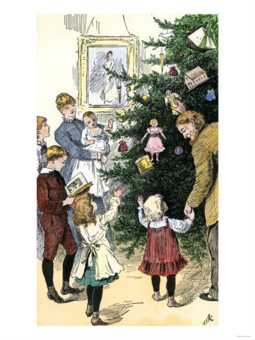 Day 119 of Jacob's Journey: A Fine Fir